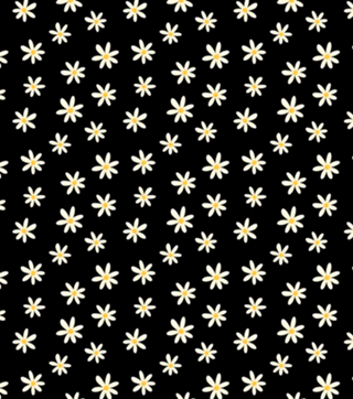 Margaridas (fundo preto)