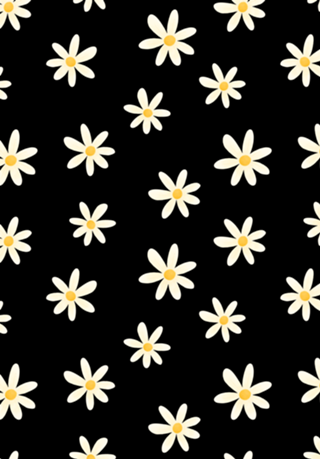 Margaridas (fundo preto)