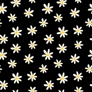 Margaridas (fundo preto)