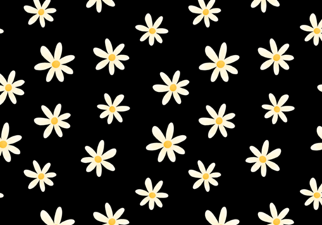 Margaridas (fundo preto)