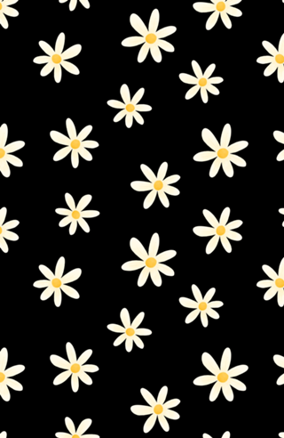 Margaridas (fundo preto)