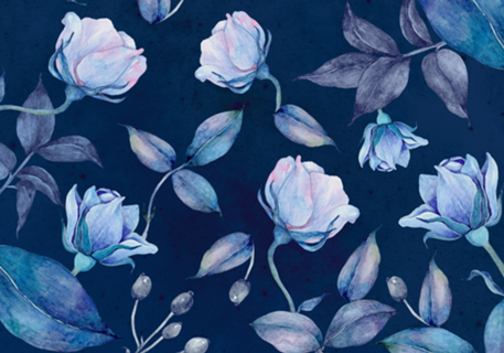 Wild Roses