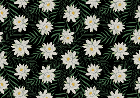 White Flowers