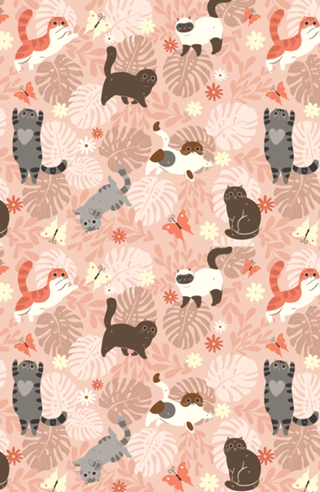 Gatinhos & Plantas