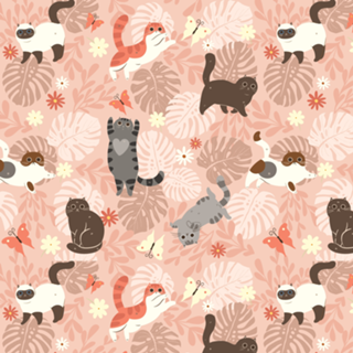 Gatinhos & Plantas