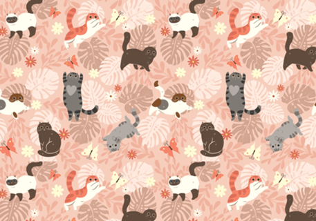 Gatinhos & Plantas