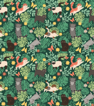 Gatinhos & Plantas II