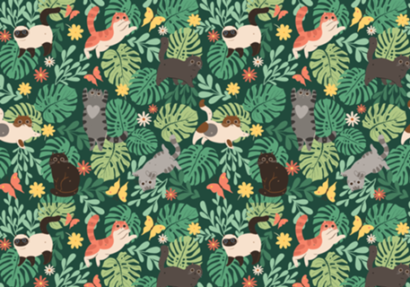 Gatinhos & Plantas II