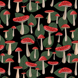 Amanita Mushrooms