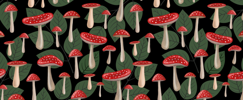 Amanita Mushrooms