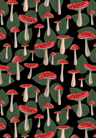 Amanita Mushrooms