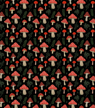 Amanita Muscaria