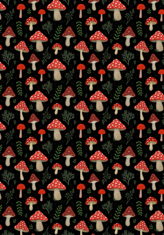 Amanita Muscaria
