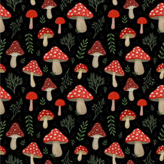 Amanita Muscaria