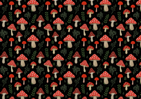 Amanita Muscaria