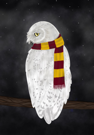 White Owl