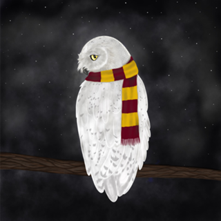 White Owl