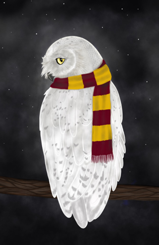 White Owl