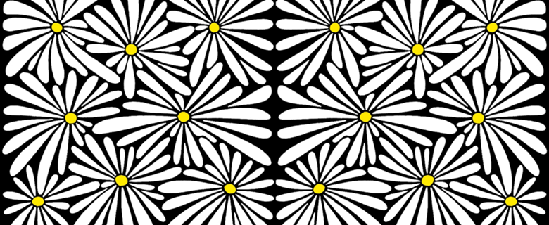 Margaridas