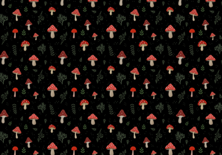 Cogumelos Amanita