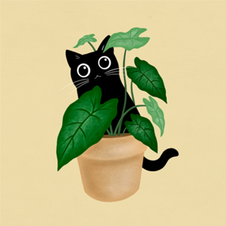 Black Cat