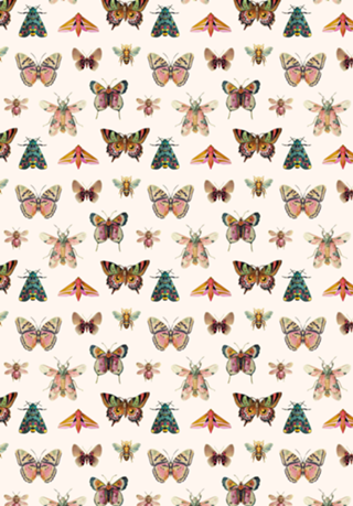 Bees & Butterflies
