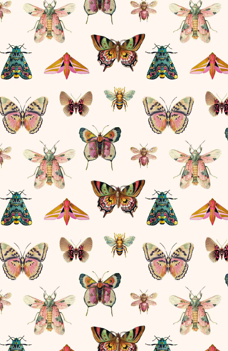 Bees & Butterflies