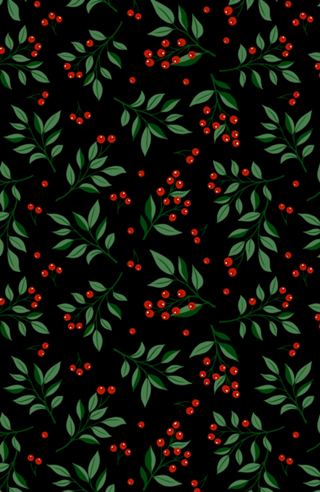 Holly Plant