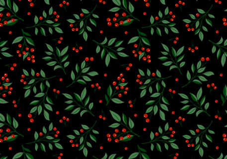 Holly Plant