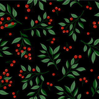 Holly Plant