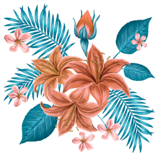 Lilium