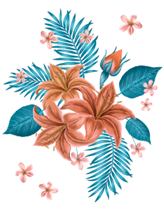 Lilium
