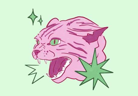 Gatinho bravo