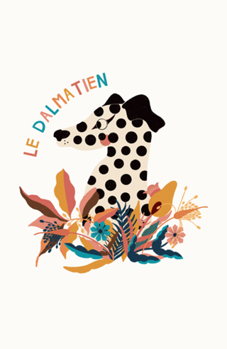 Le Dalmatien