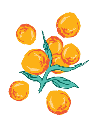 Laranjas Tropical
