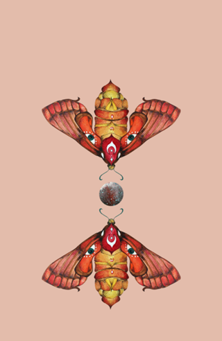 Mariposa Lunar