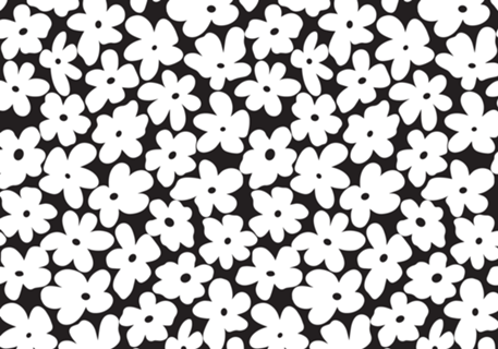 Flores Preto e Branco - anos 70