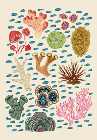 Arte Coral colorida em aquarela