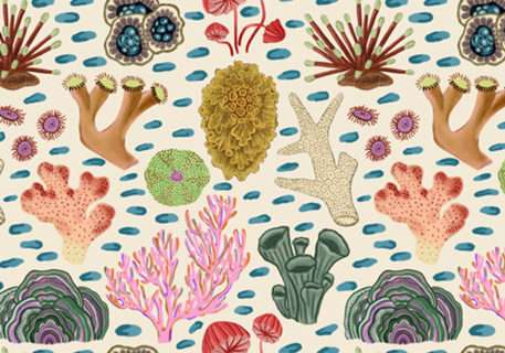 Arte Coral colorida em aquarela
