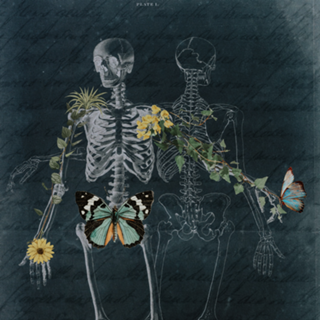 Anatomia da natureza interna | estranho é viver