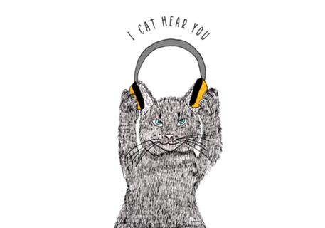I Cat Hear You