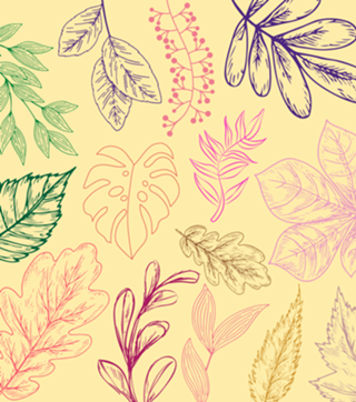 Floresta color
