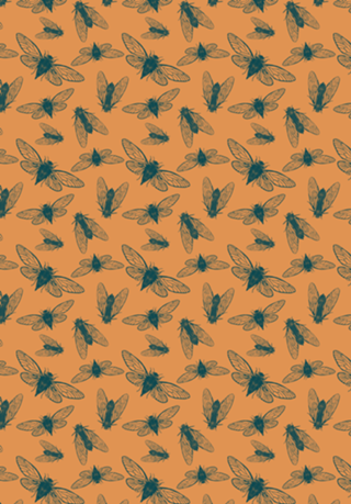 Cicadas- Marinho e Laranja