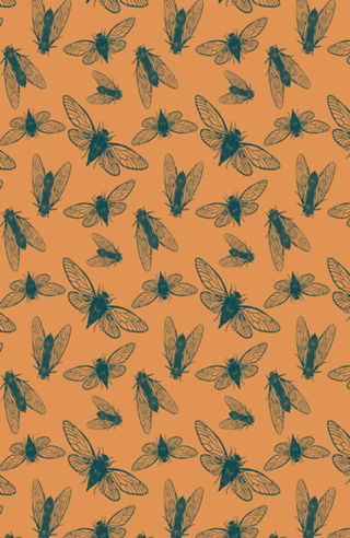 Cicadas- Marinho e Laranja