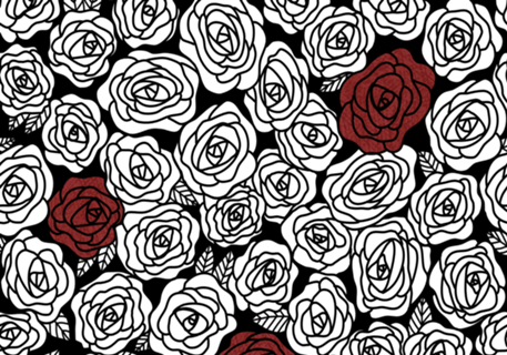 Roseiral | Rosas em Preto e Branco