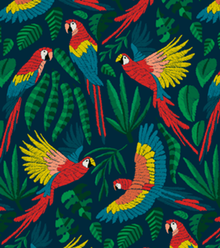 Céu da Amazônia | Araras