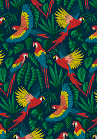 Céu da Amazônia | Araras