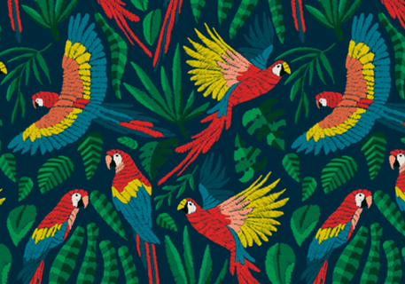 Céu da Amazônia | Araras