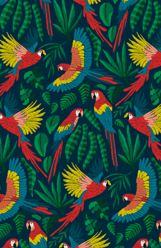 Céu da Amazônia | Araras