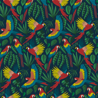 Céu da Amazônia | Araras